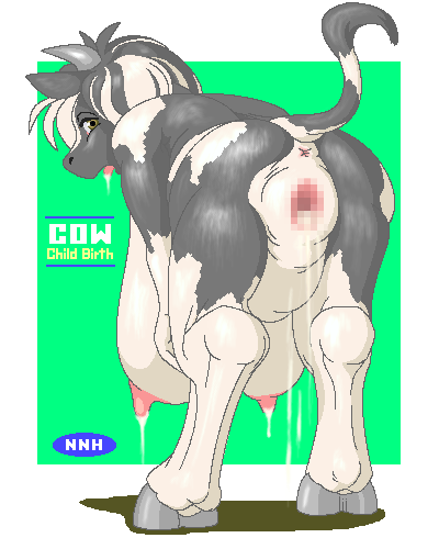 cow_childbirth